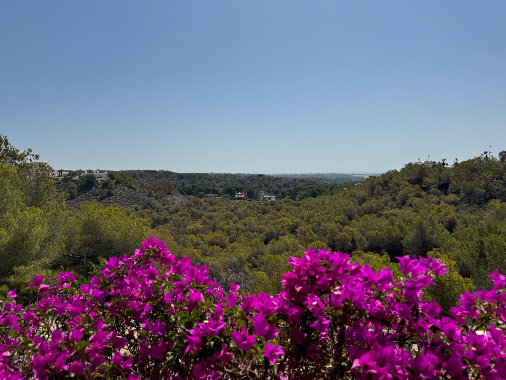 Orihuela - Las Ramblas - Casa Pino Dehesa de Campoamor  Eksteriør bilde